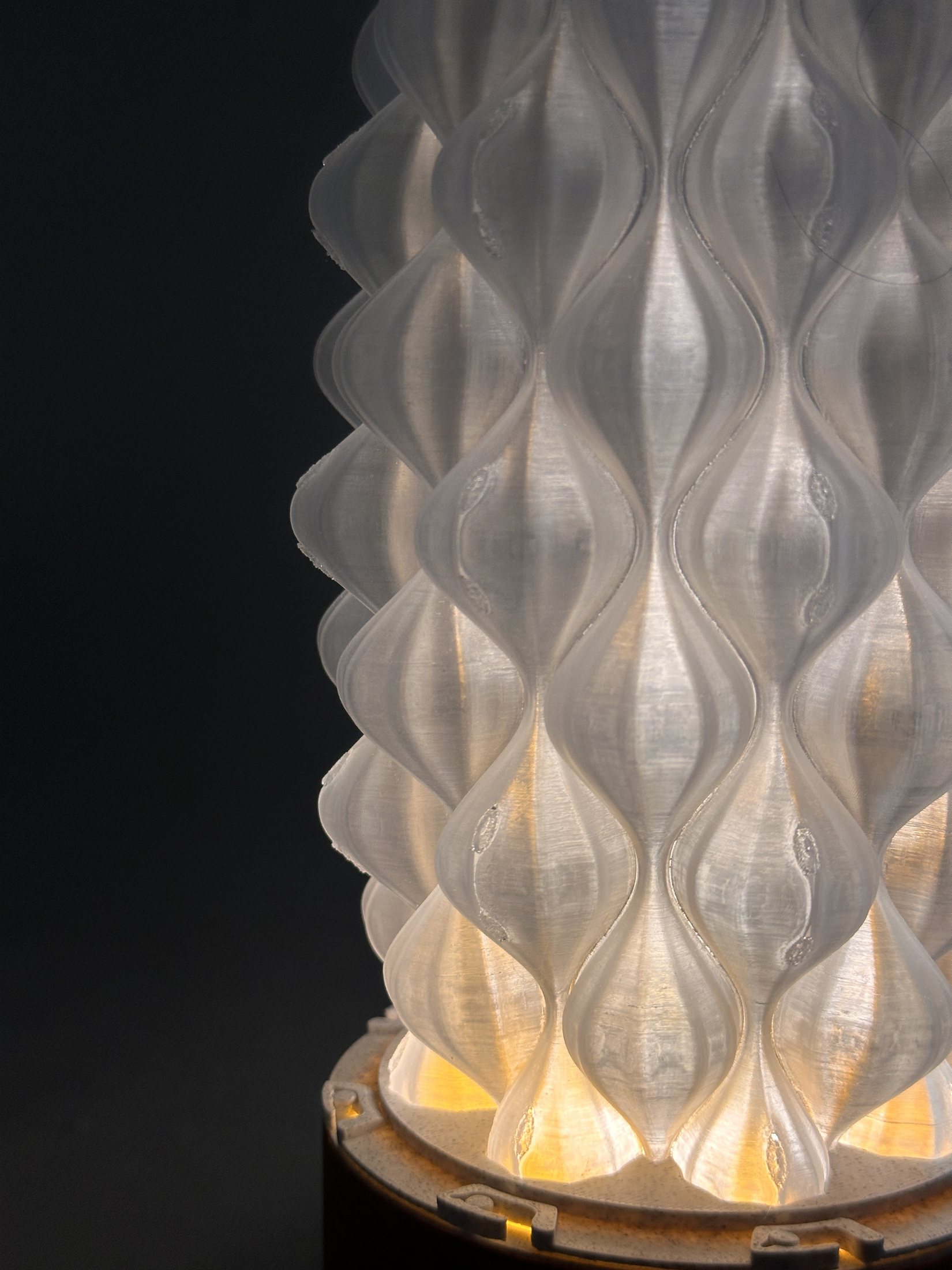 Close detail of warm light passing through the translucent petal shade